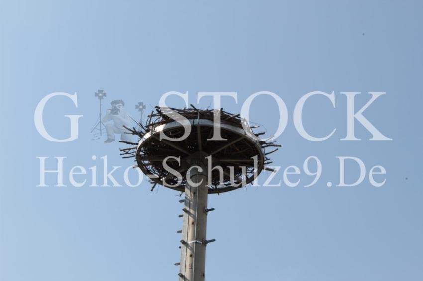 Storchennest