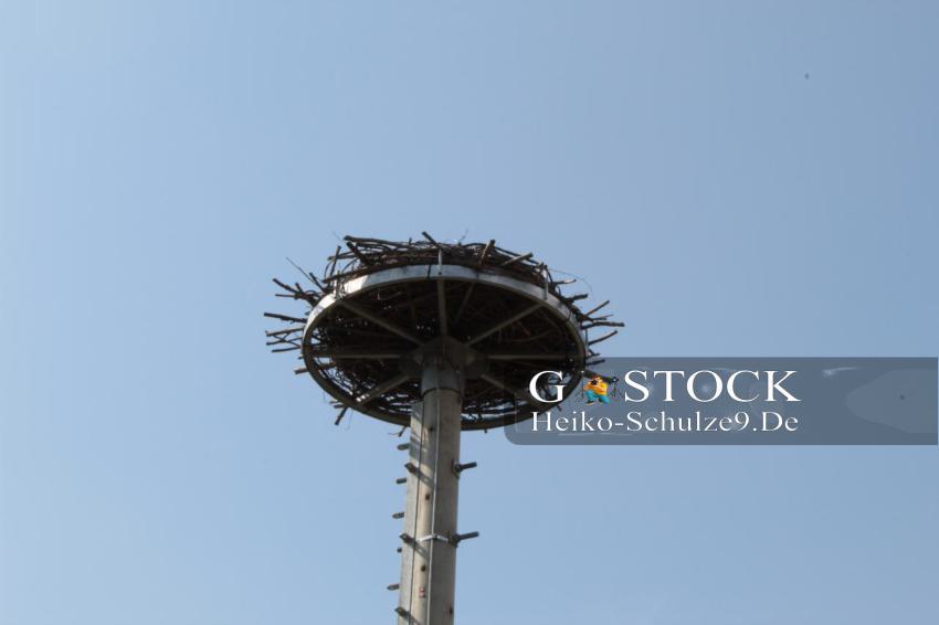 Storchennest