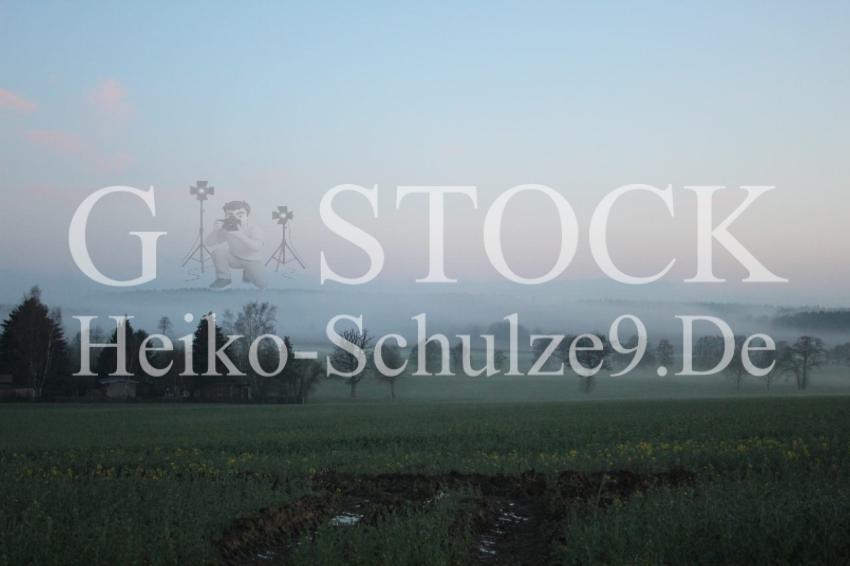 LugauerSteegenWald_2
