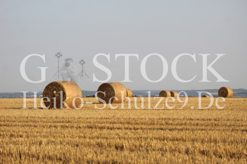 Heuernte_1