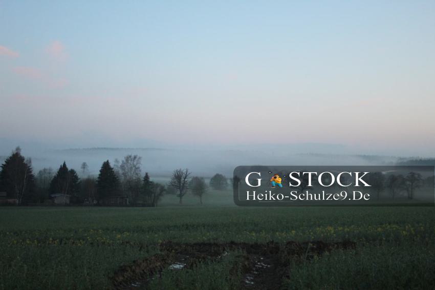 LugauerSteegenWald_2